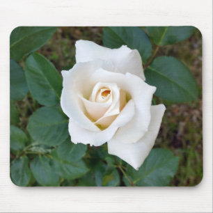 white rosebud mouse mat