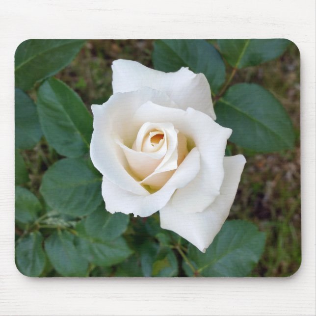 white rosebud mouse mat (Front)