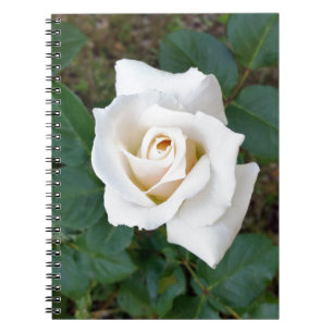 white rosebud notebook