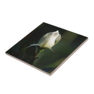 White Rosebud Tile