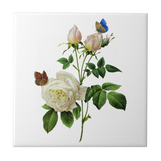 White Roses and Butterflies by Redoute Tile (Front)