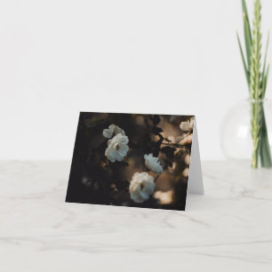 White roses in moody light, Sympathy Card