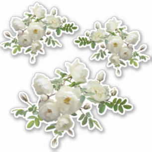 White Roses on a Branch Scrapbook Stationery 