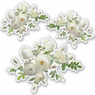 White Roses on a Branch Scrapbook Stationery