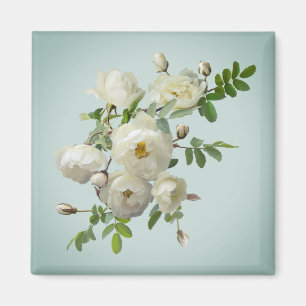 White roses on dreamy green magnet