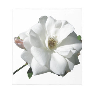 White Roses Party Shower Wedding Blossoms Destiny Notepad