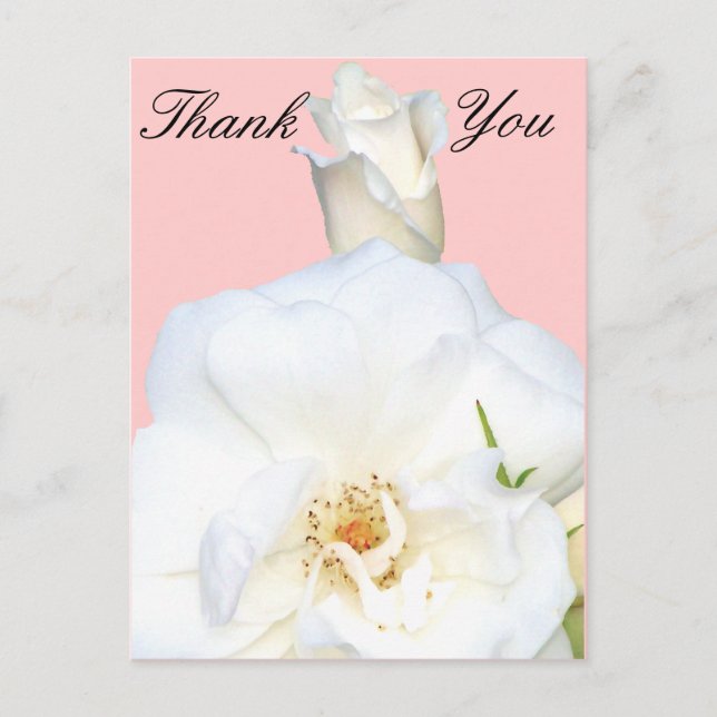 White Roses_ Postcard (Front)