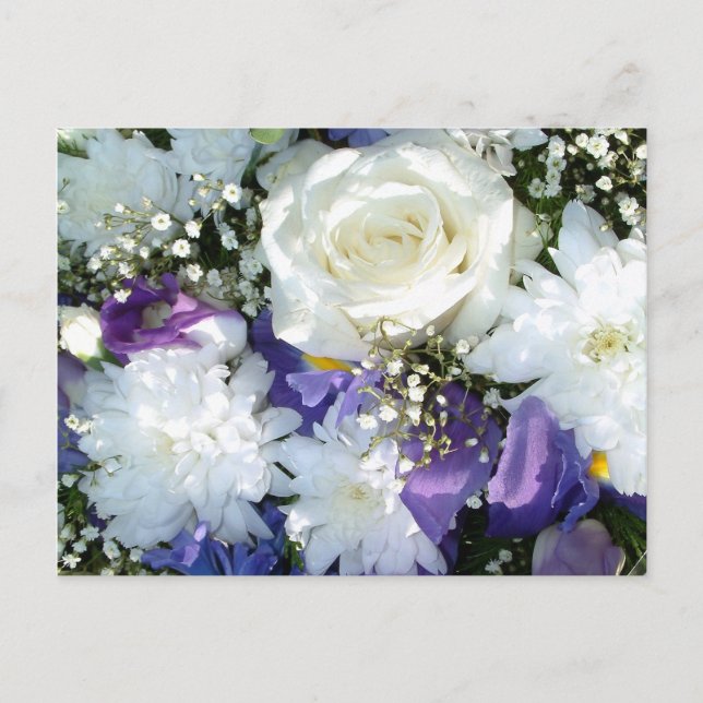 White Roses | Postcard (Front)