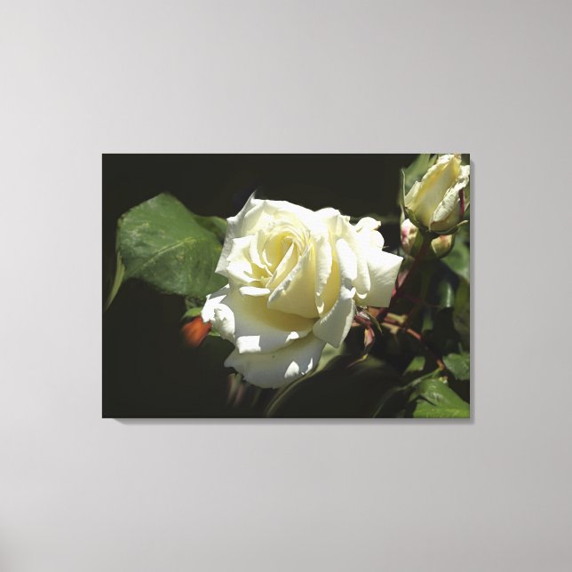 White Roses Wild Flowers Photo Print (Front)