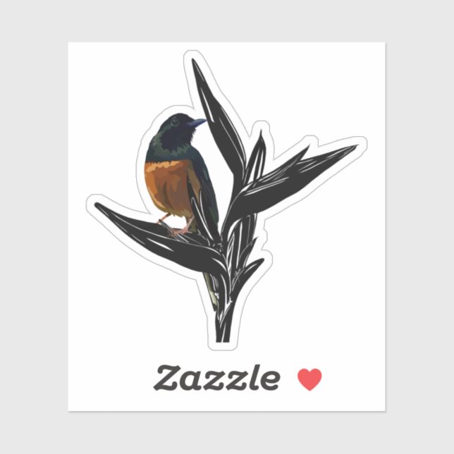 White Rumped Shama Bird (Sheet)