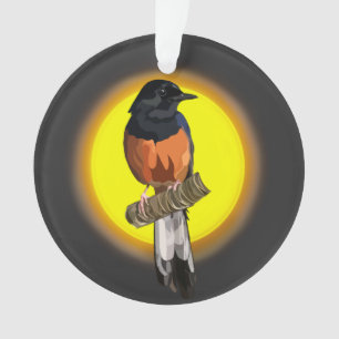 White-Rumped Shama Bird Ornament