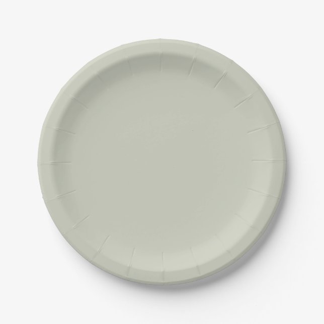 White Sage Solid Colour Paper Plate (Front)