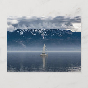 White Sailboat on Water Postcard