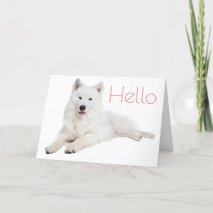 White Samoyed Puppy Dog - Hello, Thinking Of You Card