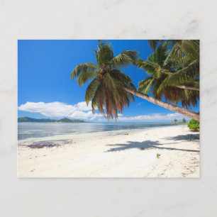 White sand beach postcard