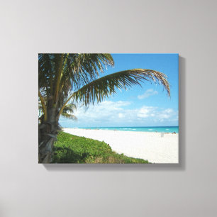 White Sand Beach w/Palm Canvas Print