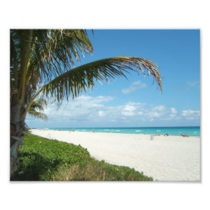 White Sand Beach w/Palm Photo Print