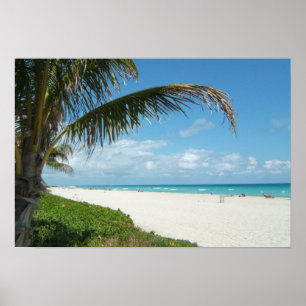White Sand Beach w/Palm Poster