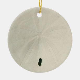 White Sand Dollar Christmas Tree Ornament