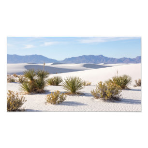 White Sand Dunes With Desert Bushes Photo Enlargem Print