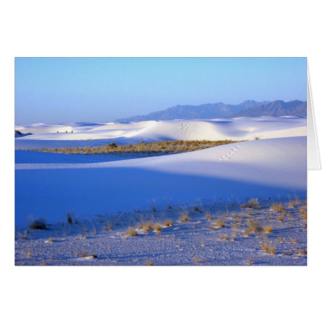 White Sands (Front Horizontal)