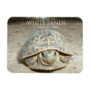 White Sands Desert Box Turtle Magnet