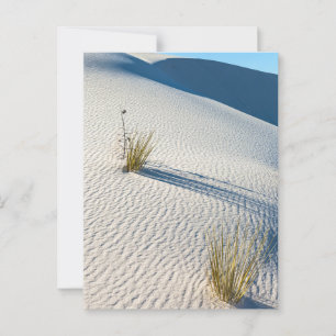 White Sands Desert Dunes Landscape Postcard