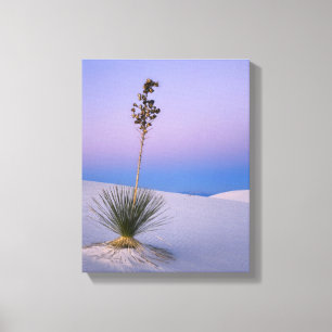 WHITE SANDS NATIONAL MONUMENT, NEW MEXICO. CANVAS PRINT