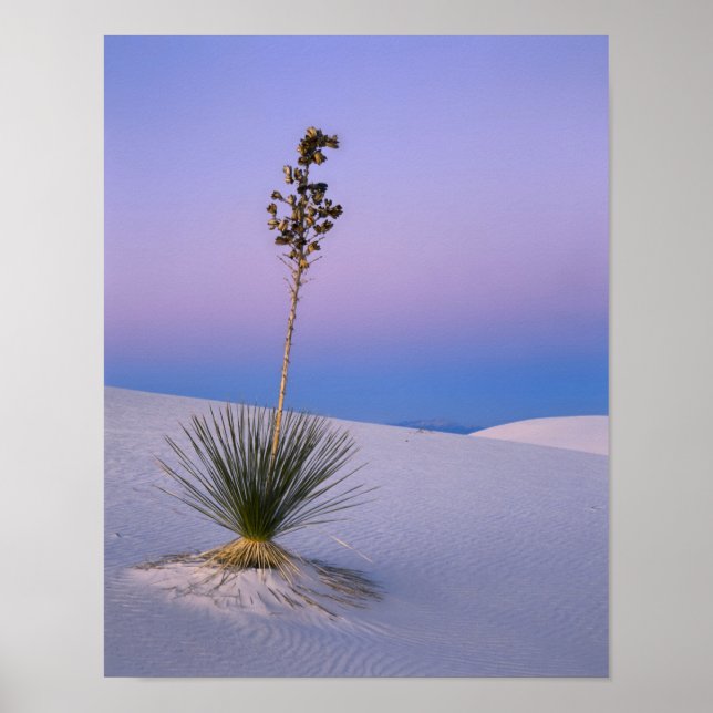 WHITE SANDS NATIONAL MONUMENT, NEW MEXICO. POSTER (Front)