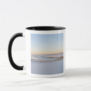 White Sands National Monument, Transverse Dunes Mug