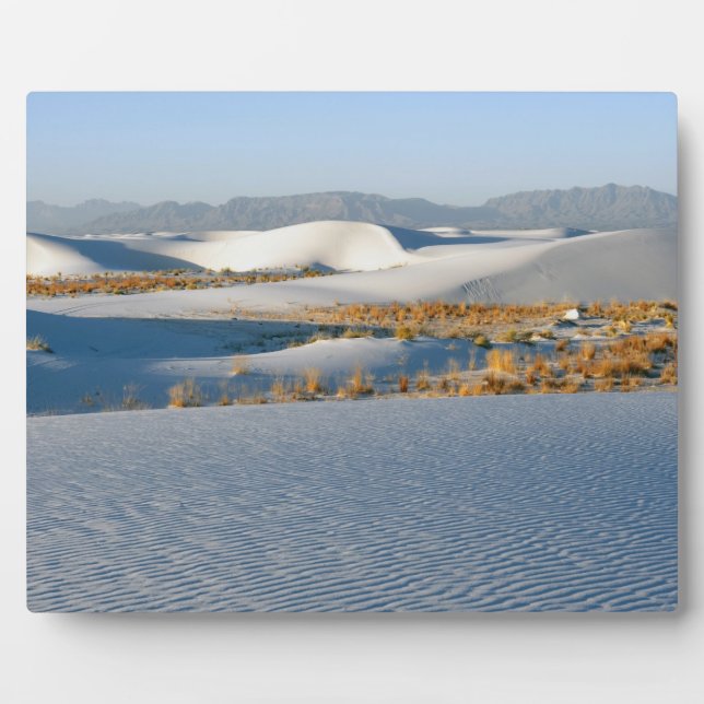 White Sands National Monument, Transverse Dunes Plaque (Front)