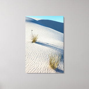 White Sands National Park Landscape Canvas Print