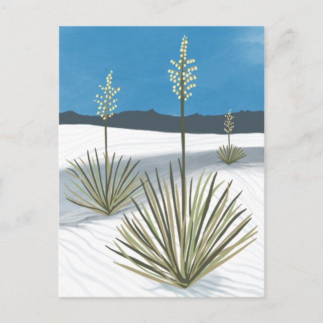 White Sands National Park New Mexico Gypsum Yucca Postcard (Front)