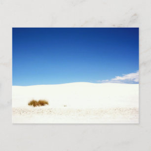 White Sands National Park, New Mexico Postcard