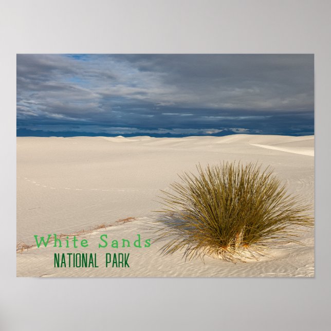 White Sands National Park Poster (Front)