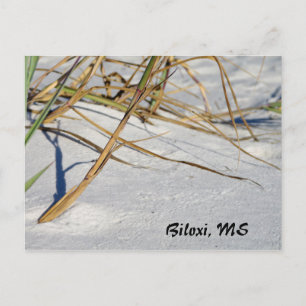 White Sands with Grass Postcard