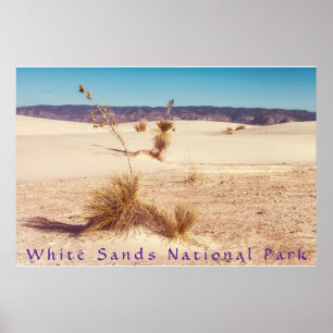 White Sands Yuccas Poster