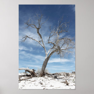 White Sands Zion National Park  Photo Poster