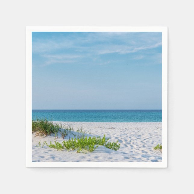 White Sandy Beach Florida Coastline Napkin (Front)