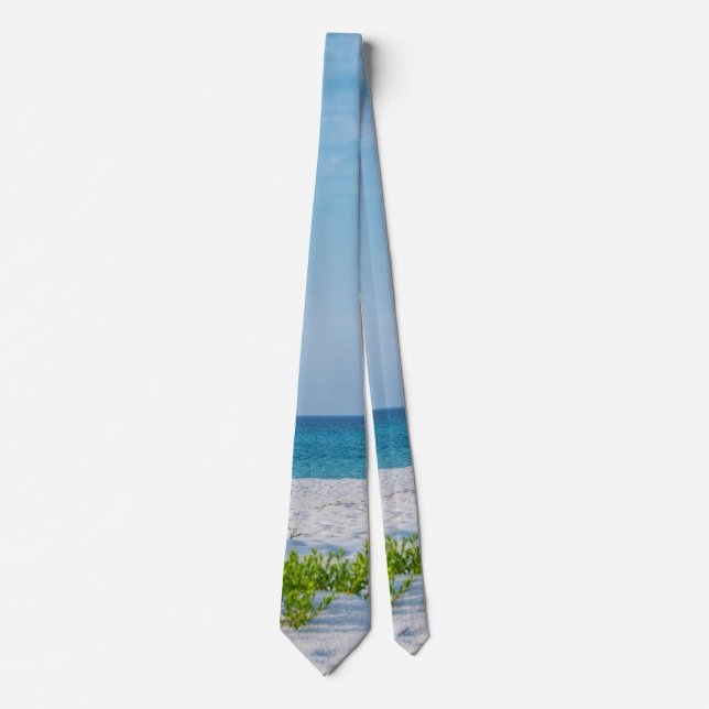 White Sandy Beach Florida Coastline Neck Tie (Front)