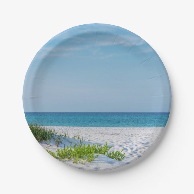 White Sandy Beach Florida Coastline Paper Plate (Front)