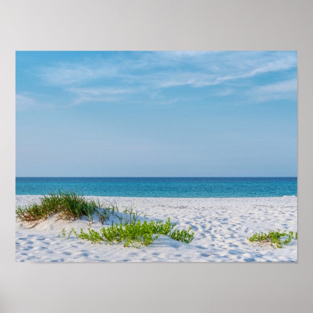 White Sandy Beach Florida Coastline Poster (Front)