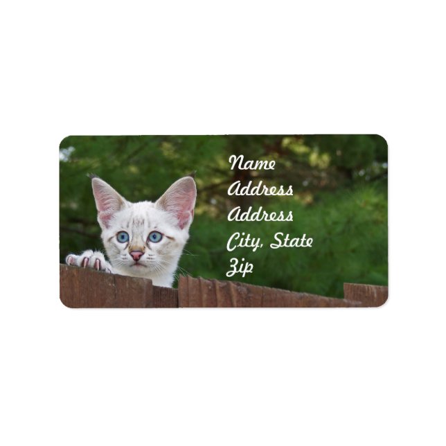White Savannah Cat Address Sticker (Front)