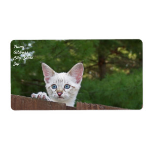 White Savannah Cat Shipping Label