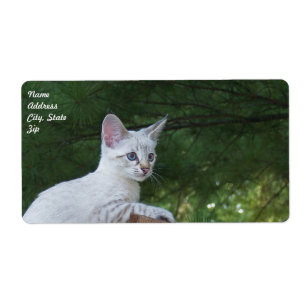White Savannah Cat Shipping Label