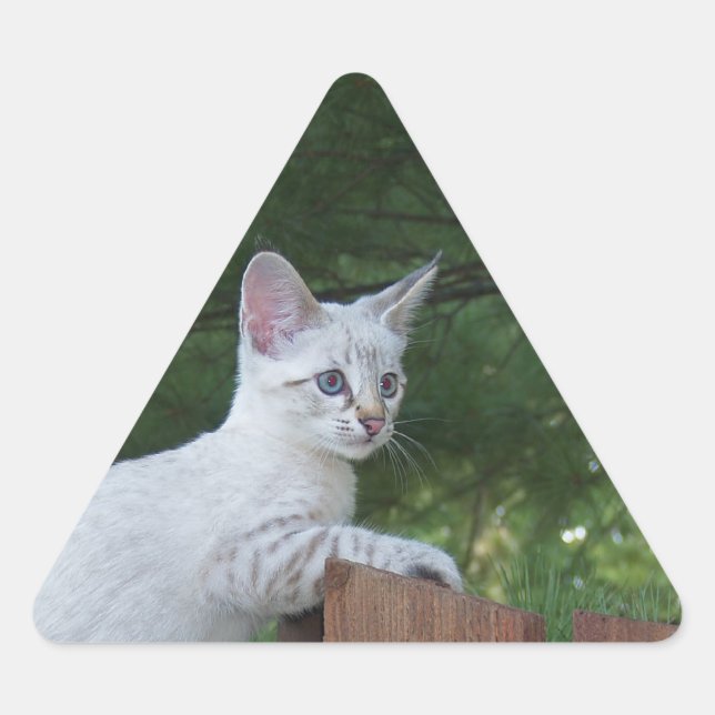 White Savannah Cat Triangle Sticker (Front)