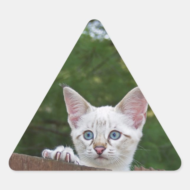 White Savannah Cat Triangle Sticker (Front)