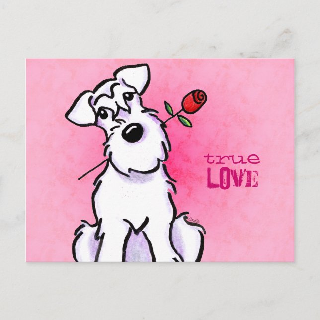 White Schnauzer Rose Love Message Custom Postcard (Front)