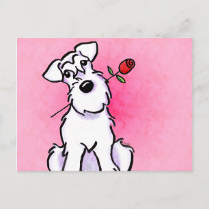 White Schnauzer Sweetheart Off-Leash Art™ Postcard