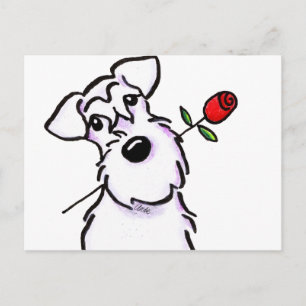 White Schnauzer Sweetheart Rose Postcard